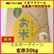 画像2: 新米　【６年産】ミルキークイーン　玄米30kg（30ｋｇ×１袋）　 (2)