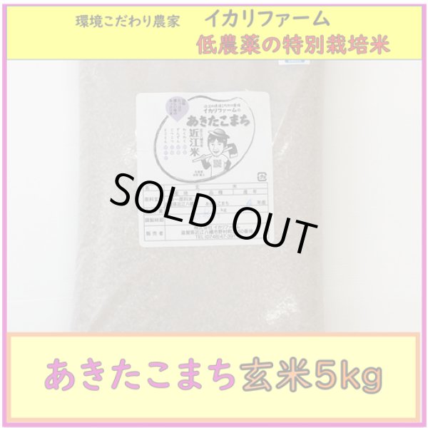 画像1: 【４年産】あきたこまち　玄米5kg (1)