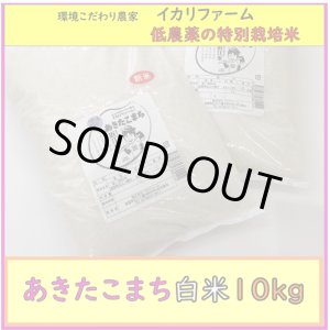 画像: 【４年産】あきたこまち　白米10kg