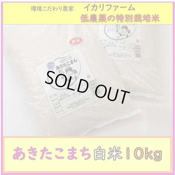 画像1: 【４年産】あきたこまち　白米10kg (1)