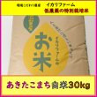 画像1: 【４年産】あきたこまち　白米30kg (1)