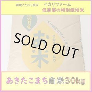 画像: 【４年産】あきたこまち　白米30kg