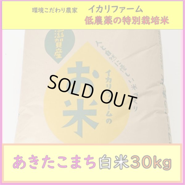 画像1: 【４年産】あきたこまち　白米30kg (1)