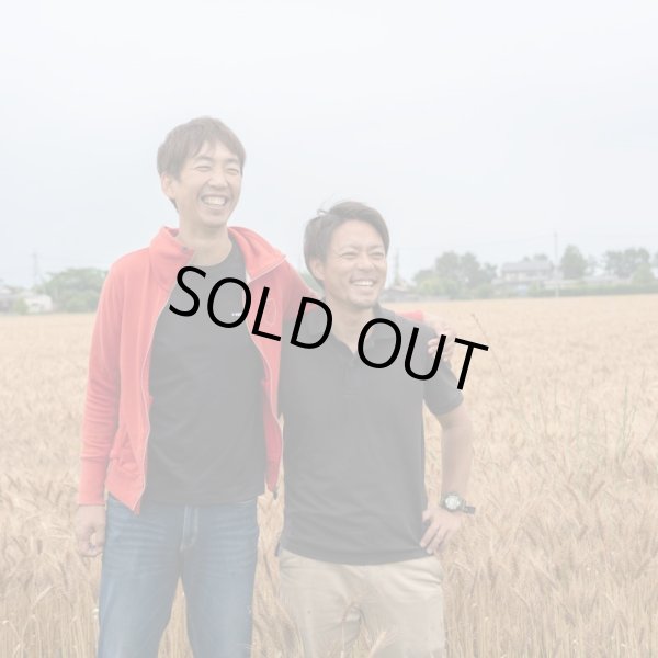 画像13: ビスコッティ　ギフトセット（５個入） (13)