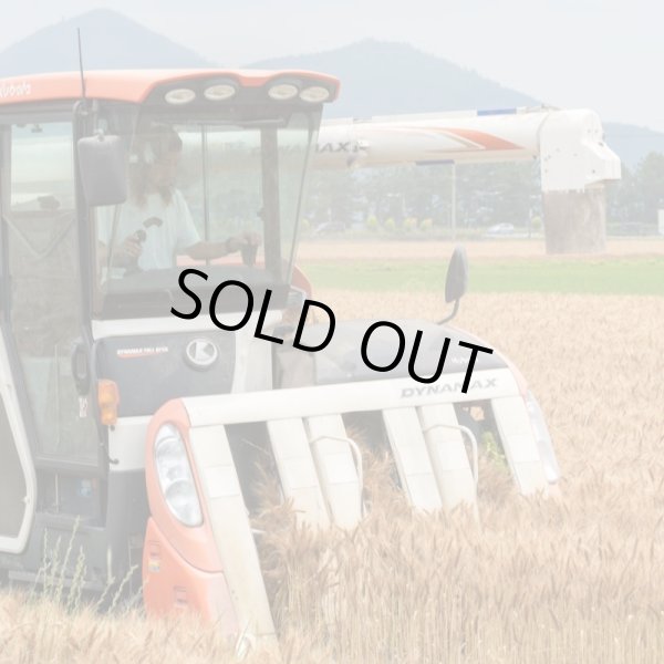 画像11: ビスコッティ　ギフトセット（５個入） (11)