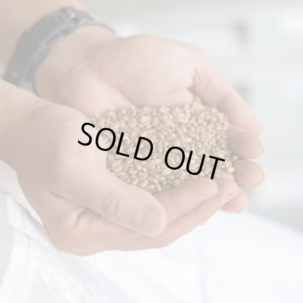 画像12: ビスコッティ　ギフトセット（５個入） (12)