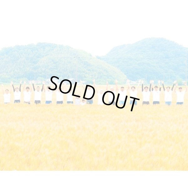 画像14: ビスコッティ　ギフトセット（５個入） (14)