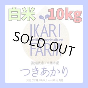 画像: 新米　【６年産】つきあかり　白米10kg（5ｋｇ×２）　