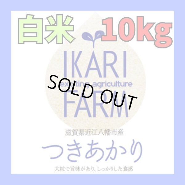 画像1: 新米　【６年産】つきあかり　白米10kg（5ｋｇ×２）　 (1)