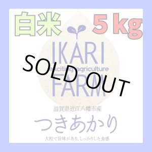 画像: 新米　【６年産】つきあかり　白米5kg　
