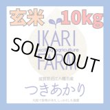 画像: 新米　【６年産】つきあかり　玄米10kg（5ｋｇ×2袋）