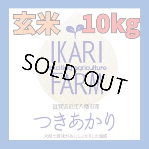 画像: 新米　【６年産】つきあかり　玄米10kg（5ｋｇ×2袋）