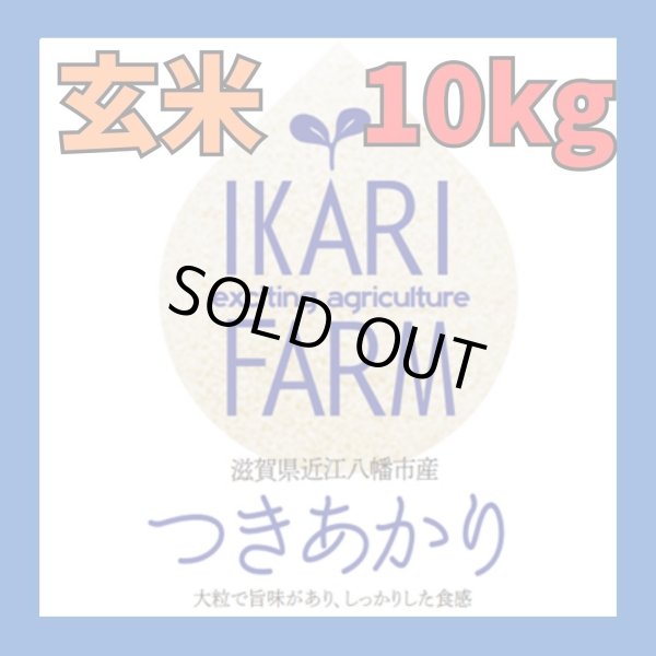 画像1: 新米　【６年産】つきあかり　玄米10kg（5ｋｇ×2袋） (1)