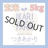 画像: 新米　【６年産】つきあかり　玄米5kg