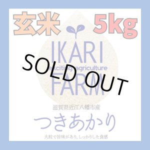 画像: 新米　【６年産】つきあかり　玄米5kg
