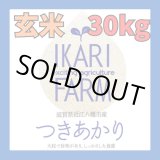 画像: 新米　【６年産】つきあかり　玄米30kg（30ｋｇ×1袋）