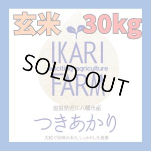 画像: 新米　【６年産】つきあかり　玄米30kg（30ｋｇ×1袋）