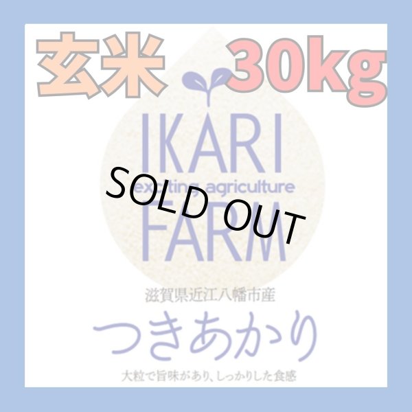 画像1: 新米　【６年産】つきあかり　玄米30kg（30ｋｇ×1袋） (1)