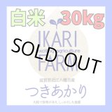 画像: 新米　【６年産】つきあかり　白米３０kg（30ｋｇ×１袋）