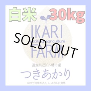 画像: 新米　【６年産】つきあかり　白米３０kg（30ｋｇ×１袋）