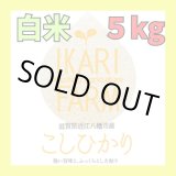 画像: 新米【７年産】コシヒカリ　白米５kg