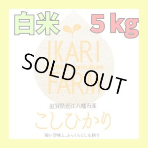 画像: 新米【６年産】コシヒカリ　白米5kg