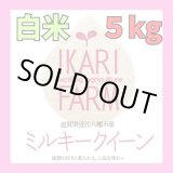 画像: 新米　【６年産】ミルキークイーン　白米5kg　