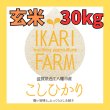 画像1: 新米【５年産】コシヒカリ　玄米30kg（30ｋｇ×1袋） (1)