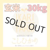 画像: 新米【７年産】コシヒカリ　玄米３０kg