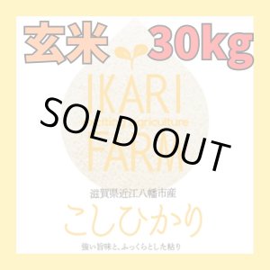 画像: 新米【６年産】コシヒカリ　玄米30kg（30ｋｇ×1袋）