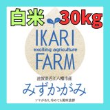 画像: 新米【７年産】みずかがみ　白米３０kg　　