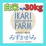 画像: 【５年産】みずかがみ　白米３０kg