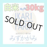 画像: 【６年産】みずかがみ　白米３０kg　　