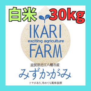 画像: 新米【７年産】みずかがみ　白米３０kg　　
