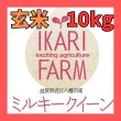 画像1: 新米　【６年産】ミルキークイーン　玄米10kg（5ｋｇ×２袋）　 (1)