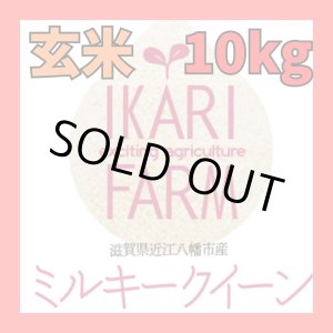 画像: 新米　【６年産】ミルキークイーン　玄米10kg（5ｋｇ×２袋）　