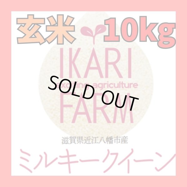 画像1: 新米　【６年産】ミルキークイーン　玄米10kg（5ｋｇ×２袋）　 (1)
