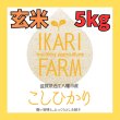 画像1: 新米【７年産】コシヒカリ　玄米５kg (1)