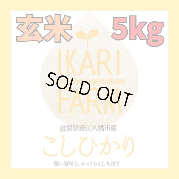 画像1: 新米【７年産】コシヒカリ　玄米５kg (1)