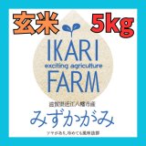 画像: 新米【７年産】みずかがみ　玄米５kg　