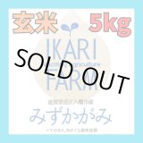 画像: 【６年産】みずかがみ　玄米5kg　