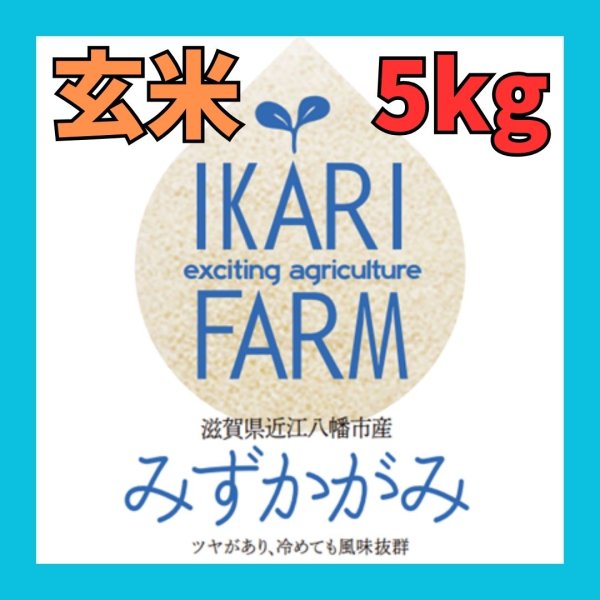 画像1: 新米【７年産】みずかがみ　玄米５kg　 (1)