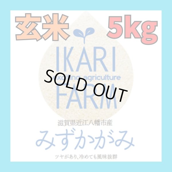 画像1: 新米【７年産】みずかがみ　玄米５kg　 (1)