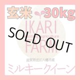 画像: 新米　【６年産】ミルキークイーン　玄米30kg（30ｋｇ×１袋）　