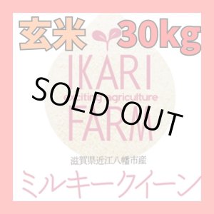 画像: 新米　【６年産】ミルキークイーン　玄米30kg（30ｋｇ×１袋）　