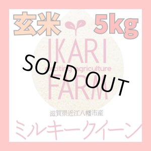 画像: 新米　【６年産】ミルキークイーン　玄米5k　