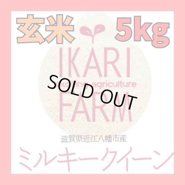 画像1: 新米　【６年産】ミルキークイーン　玄米5k　 (1)
