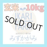 画像: 【６年産】みずかがみ　玄米１０kg（5ｋｇ×２袋）　