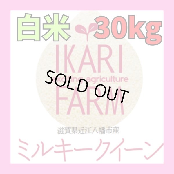 画像1: 新米　【６年産】ミルキークイーン　白米30kg（30ｋｇ×１袋）　 (1)