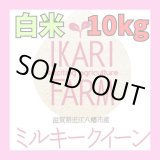 画像: 新米　【６年産】ミルキークイーン　白米10kg（5ｋｇ×２袋）　